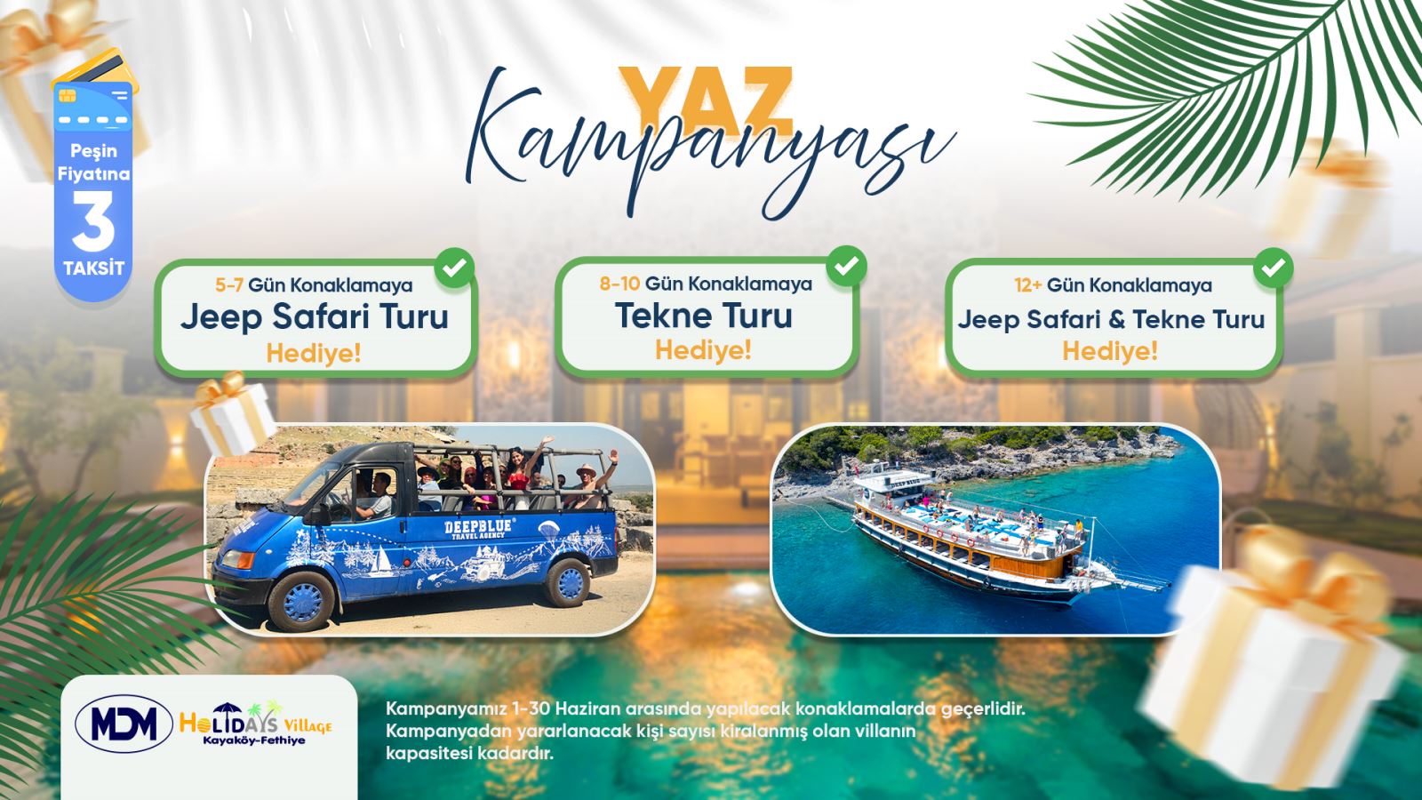 Haziranayikampanyasi